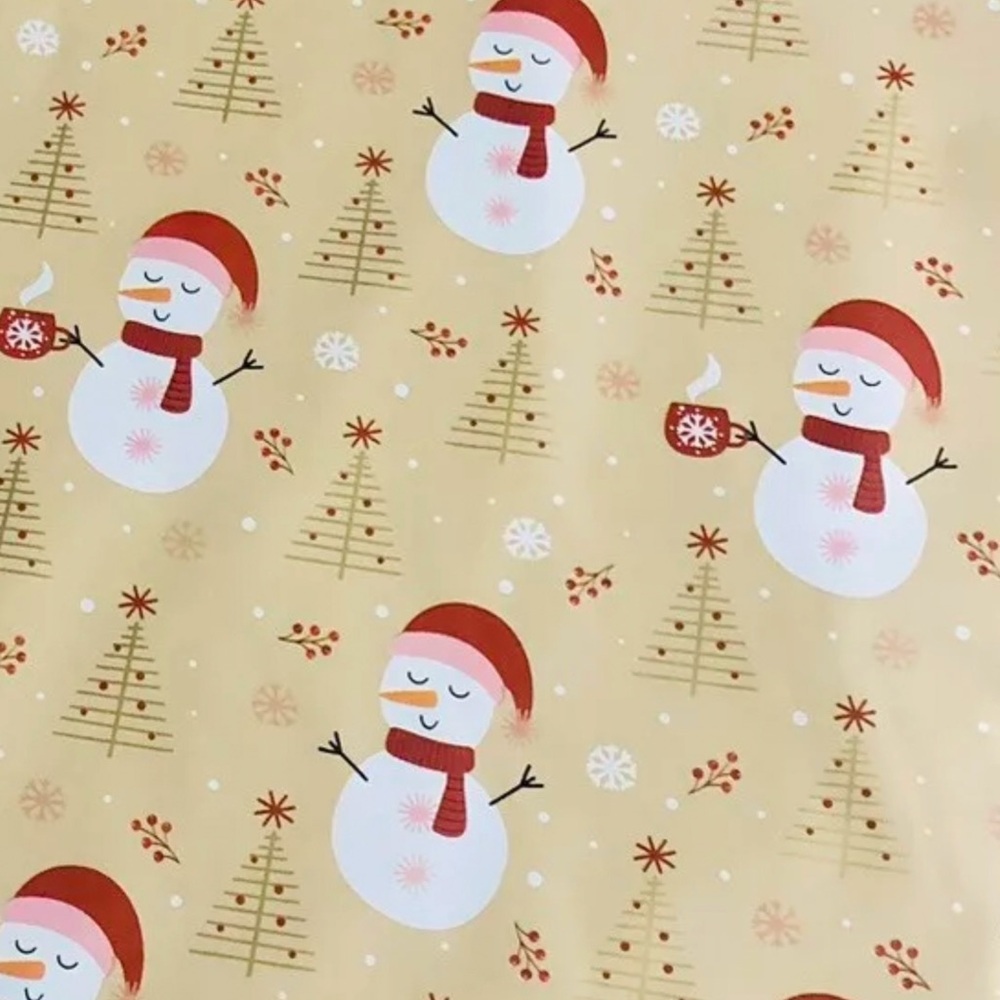 Poly Mailer Shipping Bags